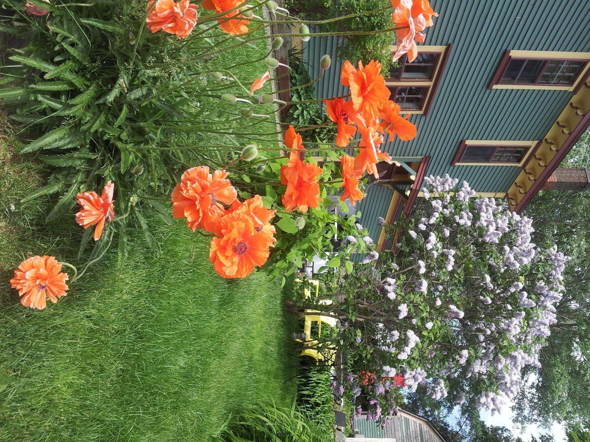 The Spaniards Room Heritage Home Spaniards Bay Esterno foto
